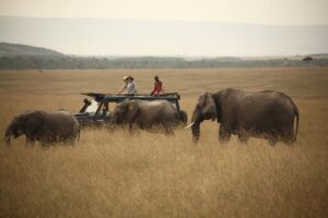 125424699_1682242981964075_2760890989522484586_n