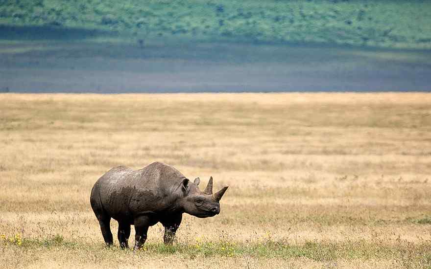 Ngorongoro Crater