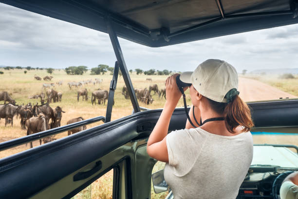 tanzania safari photo