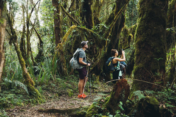 hikers on the Mount Kilimanjaro taking picture the scenic green tropical forest enjoying the breathtaking view