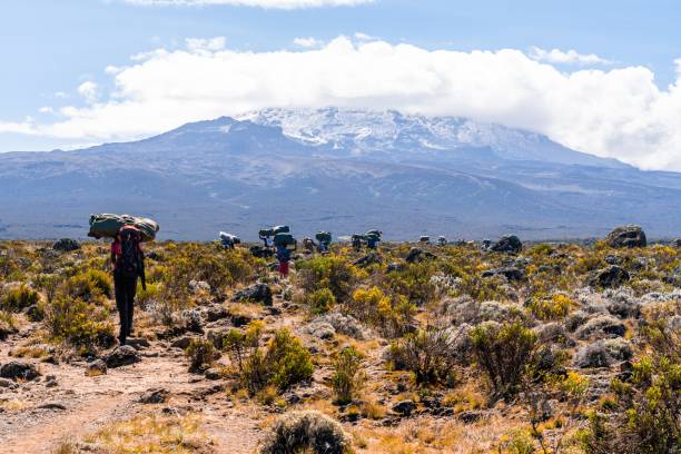 Hikers climbing Mount Kilimanjaro via 7-Days-machame route, in Tanzania