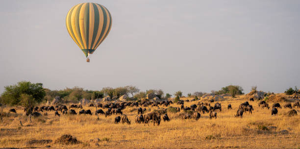 3-day Tanzania private safari