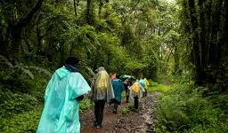 group of hikers climbing kilimanjaro in 6-days machame route