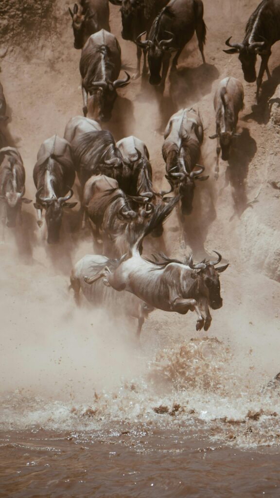 Serengeti on a 6-day migration safari