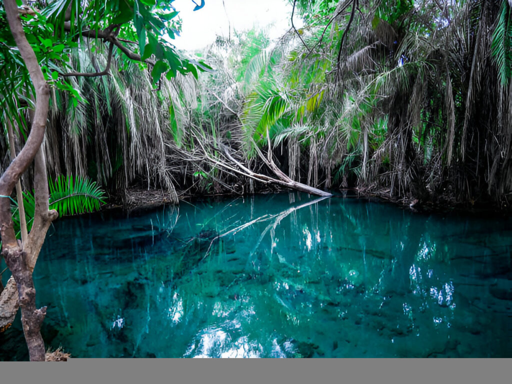Chemka Hot Springs Day Trip